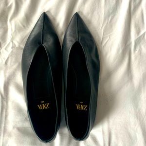 Zara Minimalist Pointed Leather Ballet Flats